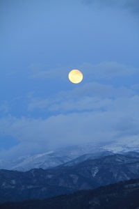 IMG_1971.jpg