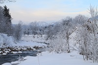 IMG_1207.jpg