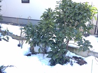IMG_1255.JPG