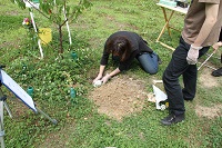 IMG_1212.JPG