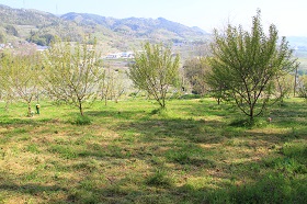 2000.jpg