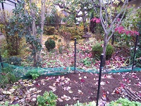 IMG_20161120_092405.jpg