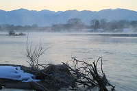 IMG_1535.jpg