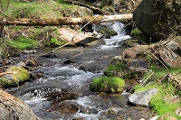 IMG_7817.jpg