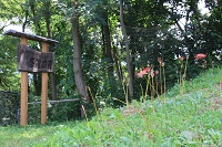 IMG_5105.JPG
