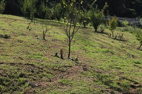 IMG_5179.JPG