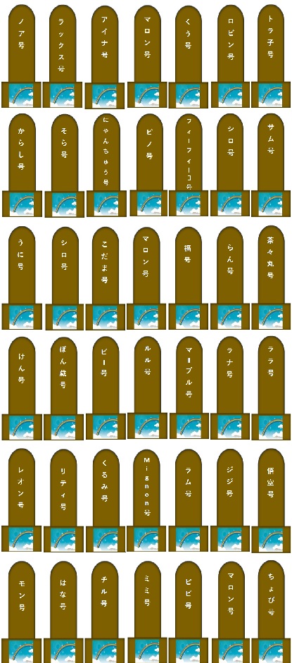 1000.jpg