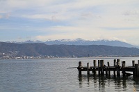 IMG_0050.jpg