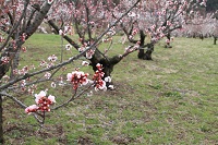 IMG_2760.jpg