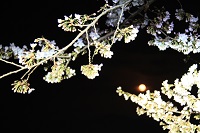 IMG_7480.jpg