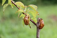 IMG_8413.JPG