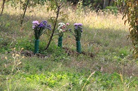 IMG_9201.JPG