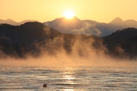 IMG_9707.JPG