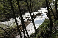 IMG_0727.jpg