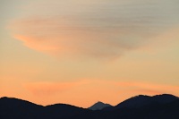 IMG_1096.jpg