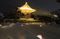 IMG_6920.jpg