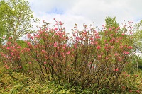 IMG_6320.jpg