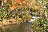IMG_8437.JPG