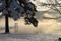 IMG_2821.JPG