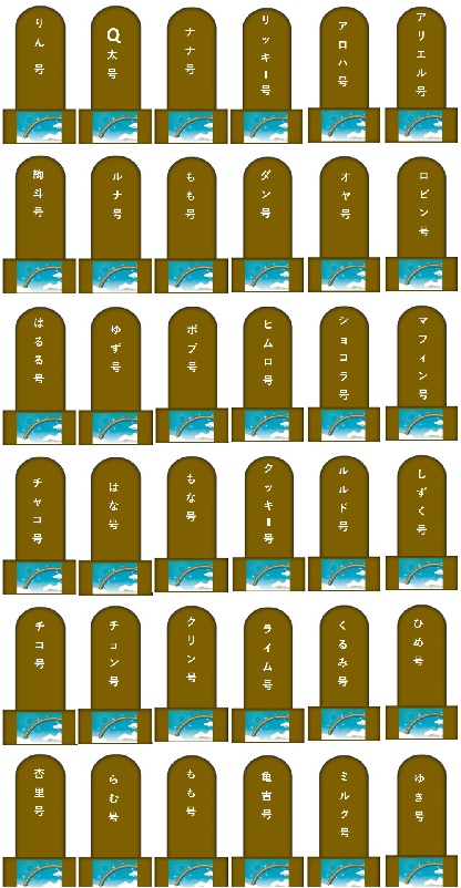 100.jpg