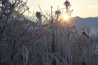 IMG_1616.jpg
