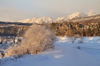 IMG_0668.JPG
