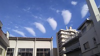 003.JPG