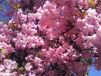 IMG_20170428_144025.jpg