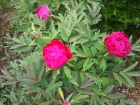 IMG_20170506_174001.jpg