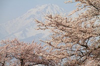 IMG_5019.jpg