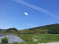 20120513_124426.jpg