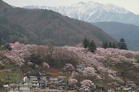 IMG_0536.JPG