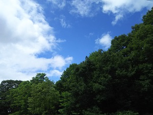 DSC_5583.JPG