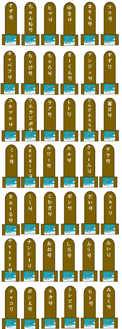 1000.jpg