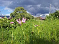 20120814_164353.jpg