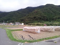 20120919_174511.jpg