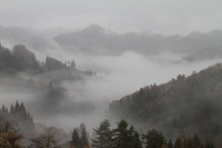 IMG_0006.jpg
