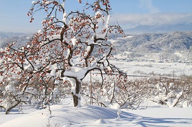 IMG_9648.JPG