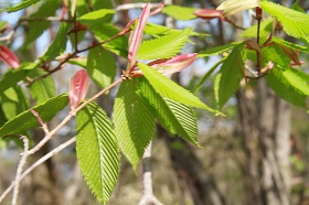 IMG_0900.JPG