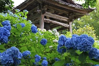 IMG_3585.JPG