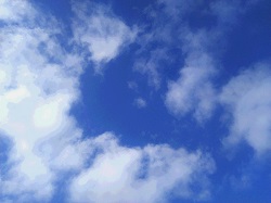 IMG_20171127_101709.jpg