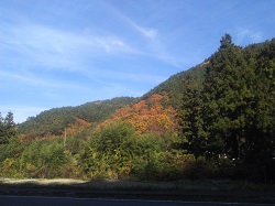 IMG_20181116_111750.jpg