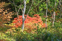 IMG_8055.jpg