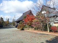 20121124_105950.jpg