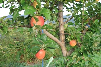 IMG_7818.jpg