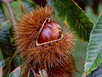 phot_7_a1.jpg