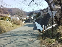 005.jpg