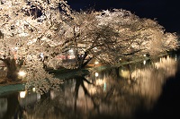 IMG_2995.jpg