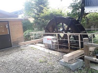 140920_115506.jpg