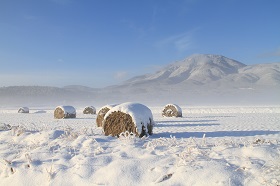 IMG_4474.JPG